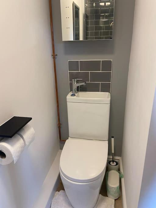 Adorable Bedsit For You, Partner And Your Pet! Stepaside  Dış mekan fotoğraf