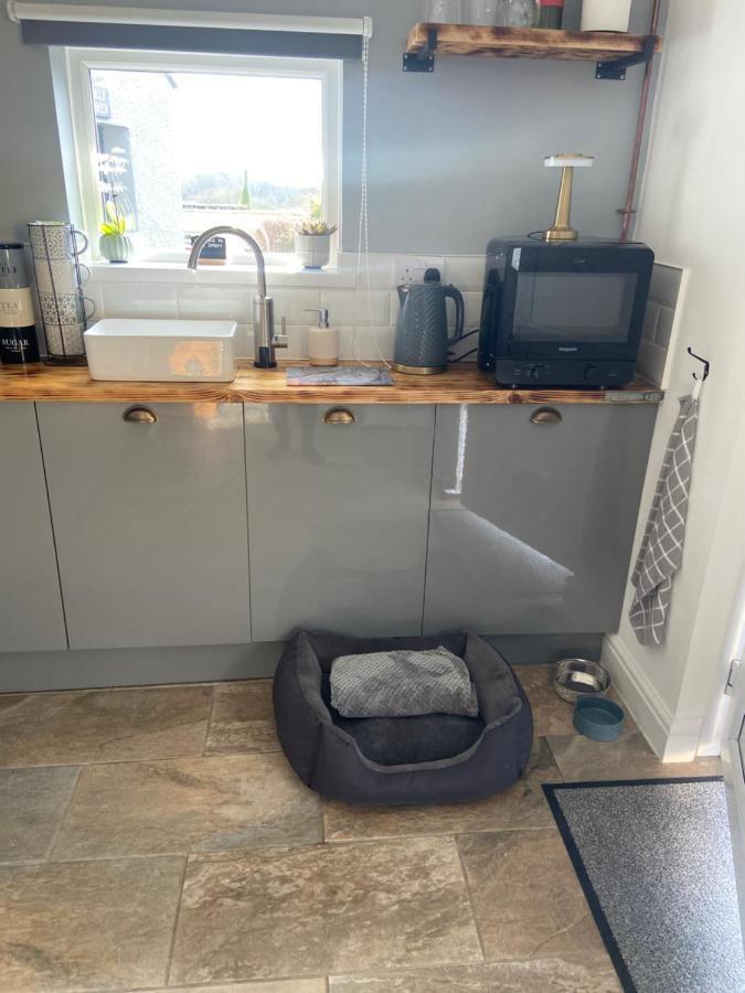 Adorable Bedsit For You, Partner And Your Pet! Stepaside  Dış mekan fotoğraf